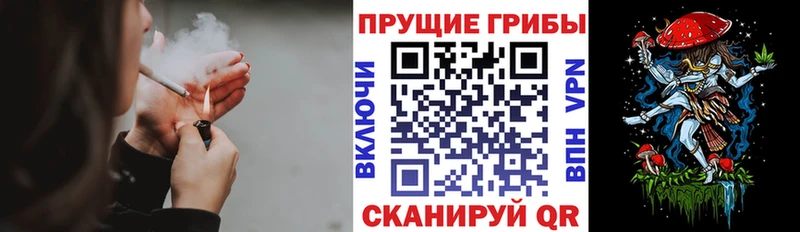 наркотики  блэк спрут tor  Галлюциногенные грибы Magic Shrooms  Новый Оскол 